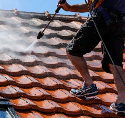 Roof Cleaning Services Company Near Me In Riverview FL 100